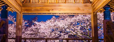 🏯 원성사(온조지) - 미이데라